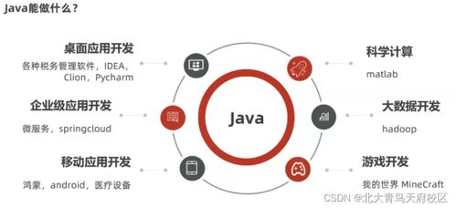 想在互聯(lián)網(wǎng)公司上班,該選擇什么專業(yè)學(xué)習(xí)入行呢