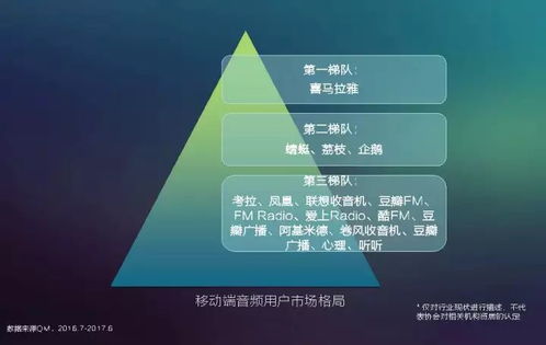 2017中國網絡視聽發展報告 用戶付費意識崛起與網生內容品質化轉型